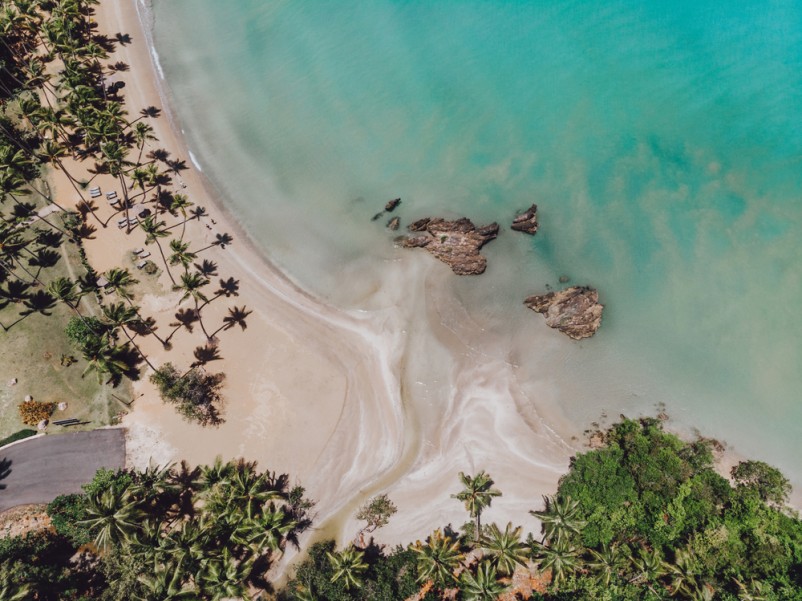 Baie de Samana : quand visiter ce trésor de la république dominicaine ?