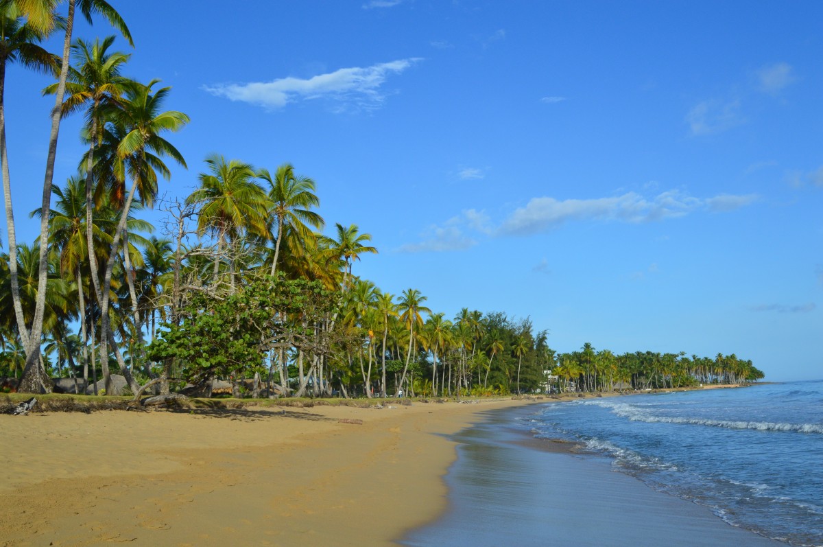 Sejour republique dominicaine, allez y pour passer de très bonne vacance !