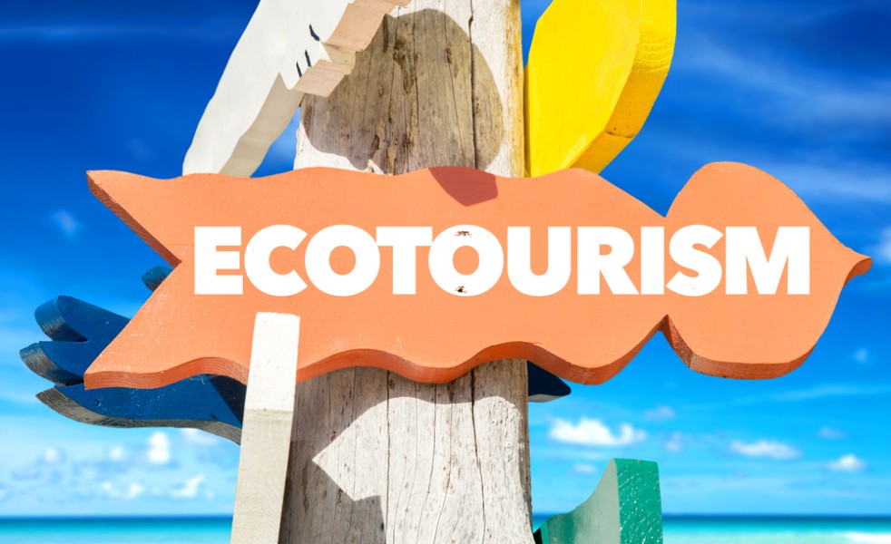 Ecotourisme costa rica : découvrez une autre façon de voyager en Amérique Centrale