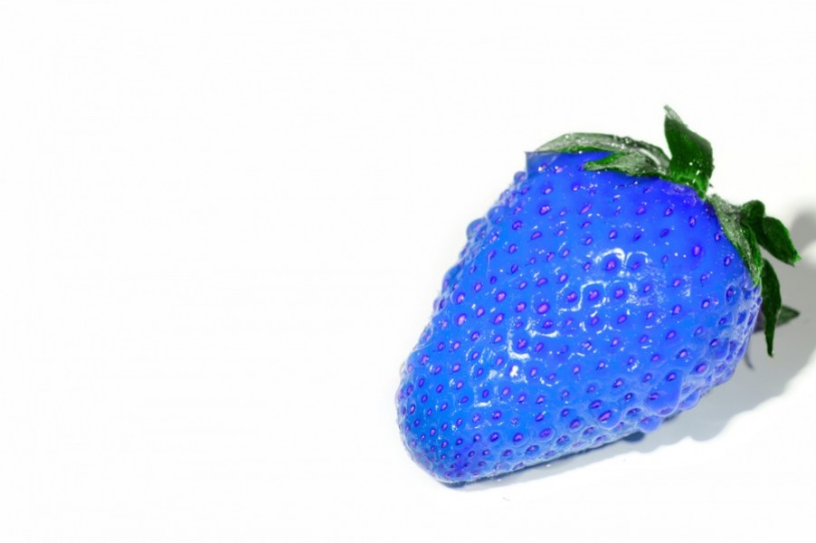 Pourquoi les fraises bleues sont-elles si spéciales ?