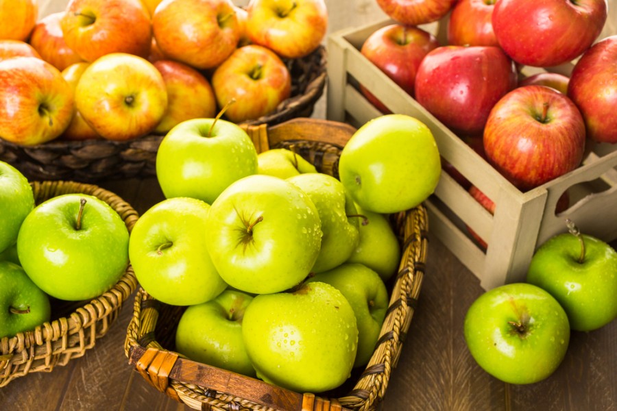 Guide des pommes : Variétés, conseils et recettes savoureuses