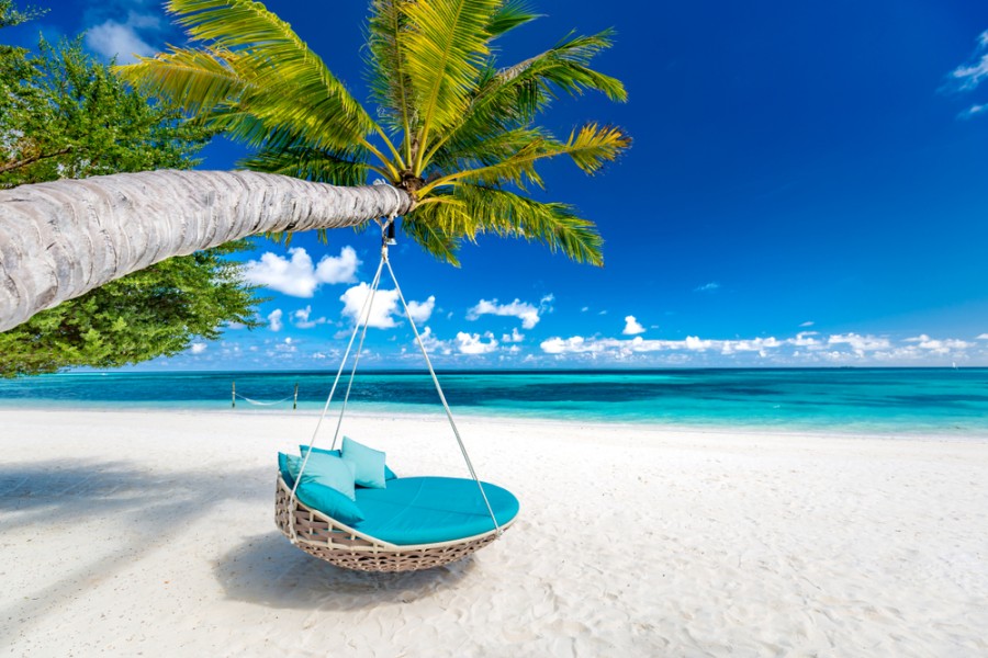 Seychelles plage : où passer vos vacances pieds dans l'eau en bord de mer !
