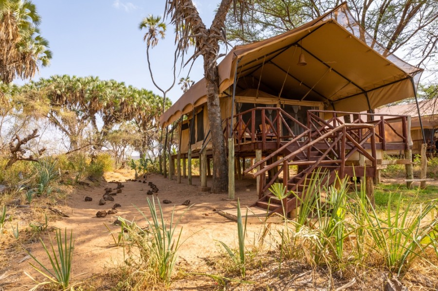 Pourquoi les tentes safari lodge sont-elles si populaires ?