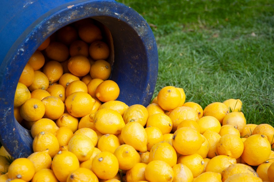 Quelle est la meilleure variété de citron ?