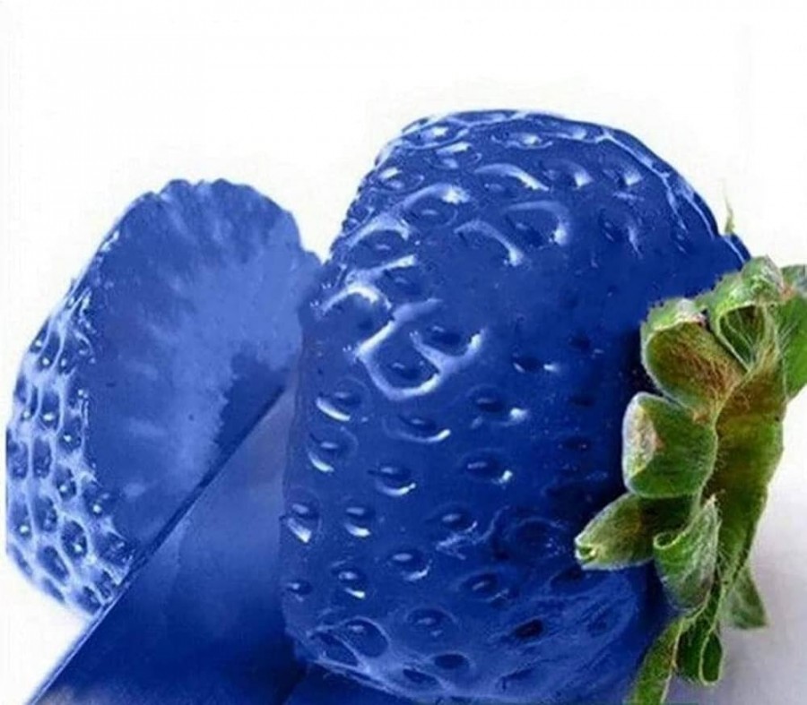 Quelles sont les caractéristiques uniques des fraises bleues japonaises ?