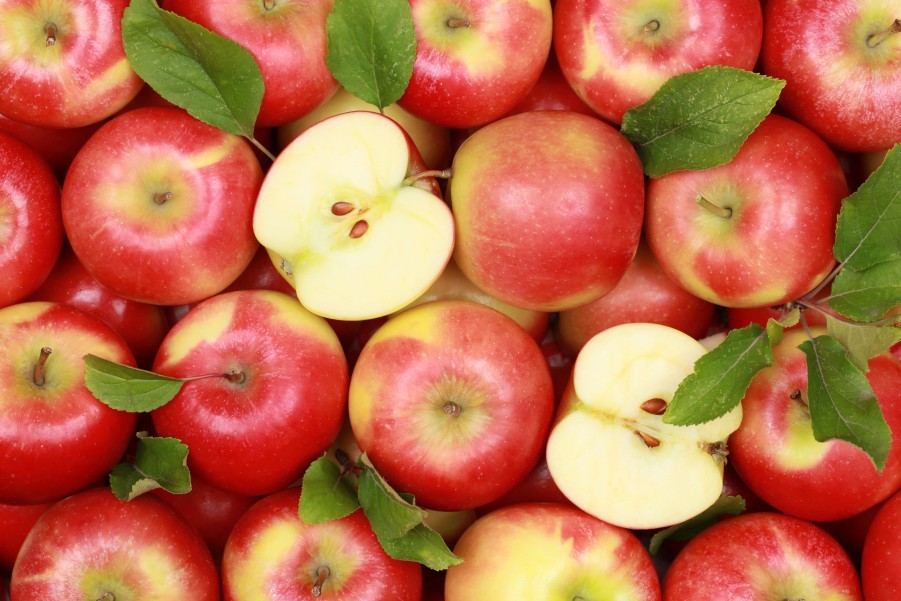 Quelles sont les variétés de pommes ?