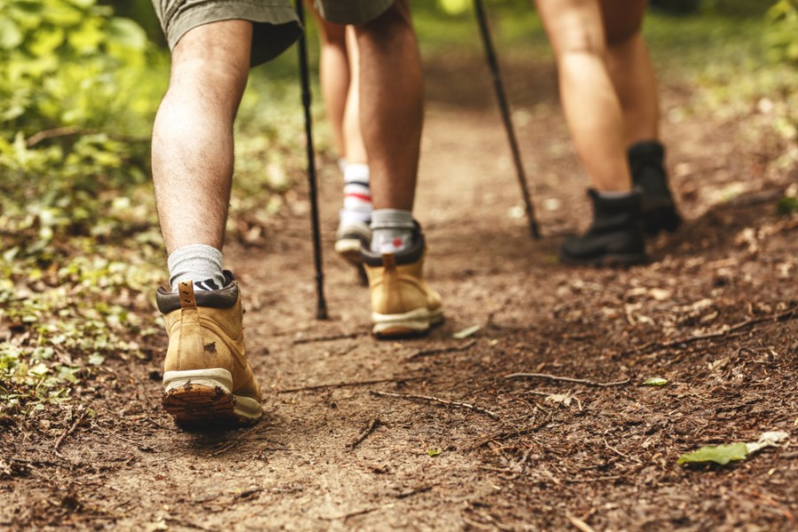 Quels sont les meilleurs circuits de rando en beaujolais ?