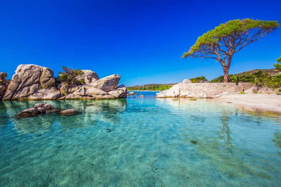 Visiter la Corse : que faire sur l'île de beauté ?